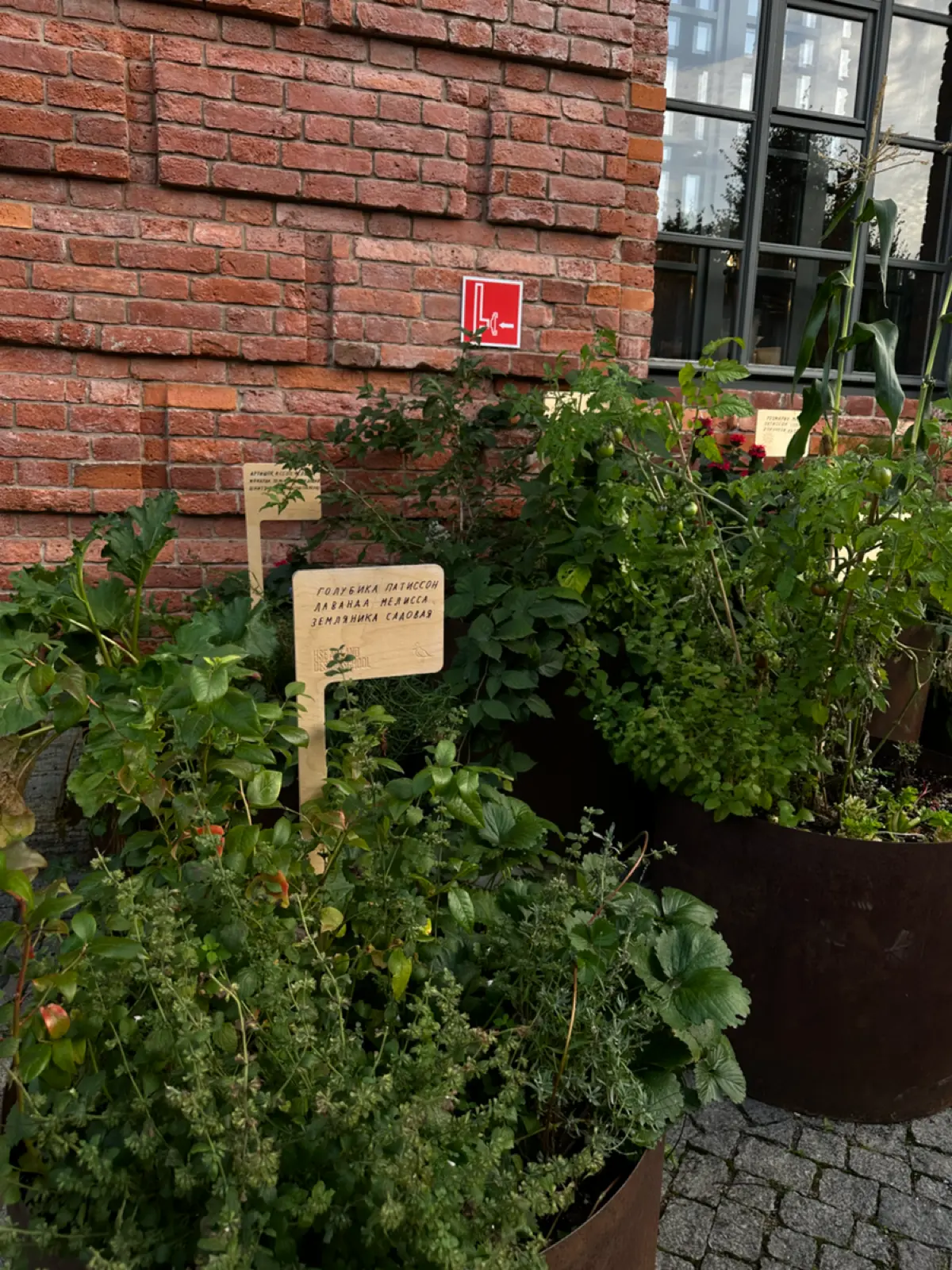 Самый важный навык маркетолога | Сетка — социальная сеть от hh.ru