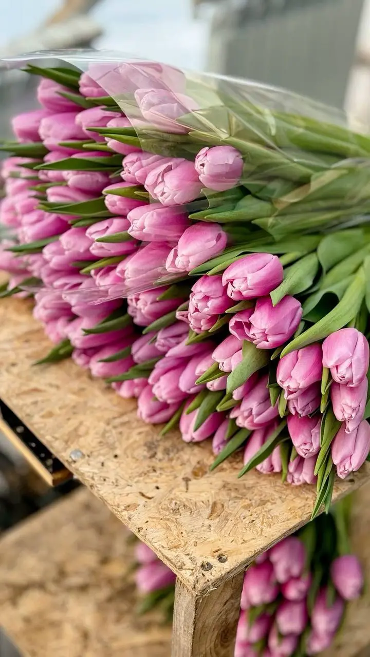 🌷Женщинам будут завтра дарить цветы в парках в честь 8 марта
📍Сад «Эрмитаж»
📍Усадьба Воронцово
📍Парк «Таганский»
📍Парк «Измайловский»
📍Парк «Лианозовский»
📍Парк «Красная Пресня»
📍Парк «Северное Тушино... | Сетка — социальная сеть от hh.ru