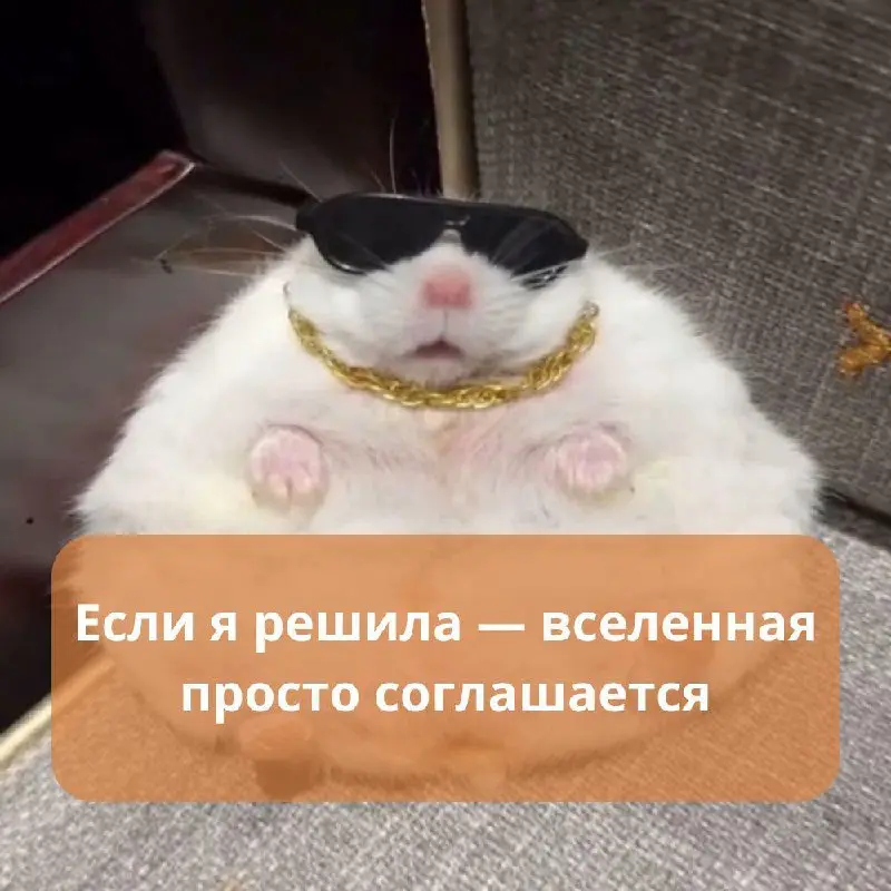 Девушки, спешим с подарками 🌸
8 марта — ещё один повод сказать, какие вы сильные, талантливые и невероятные | Сетка — социальная сеть от hh.ru