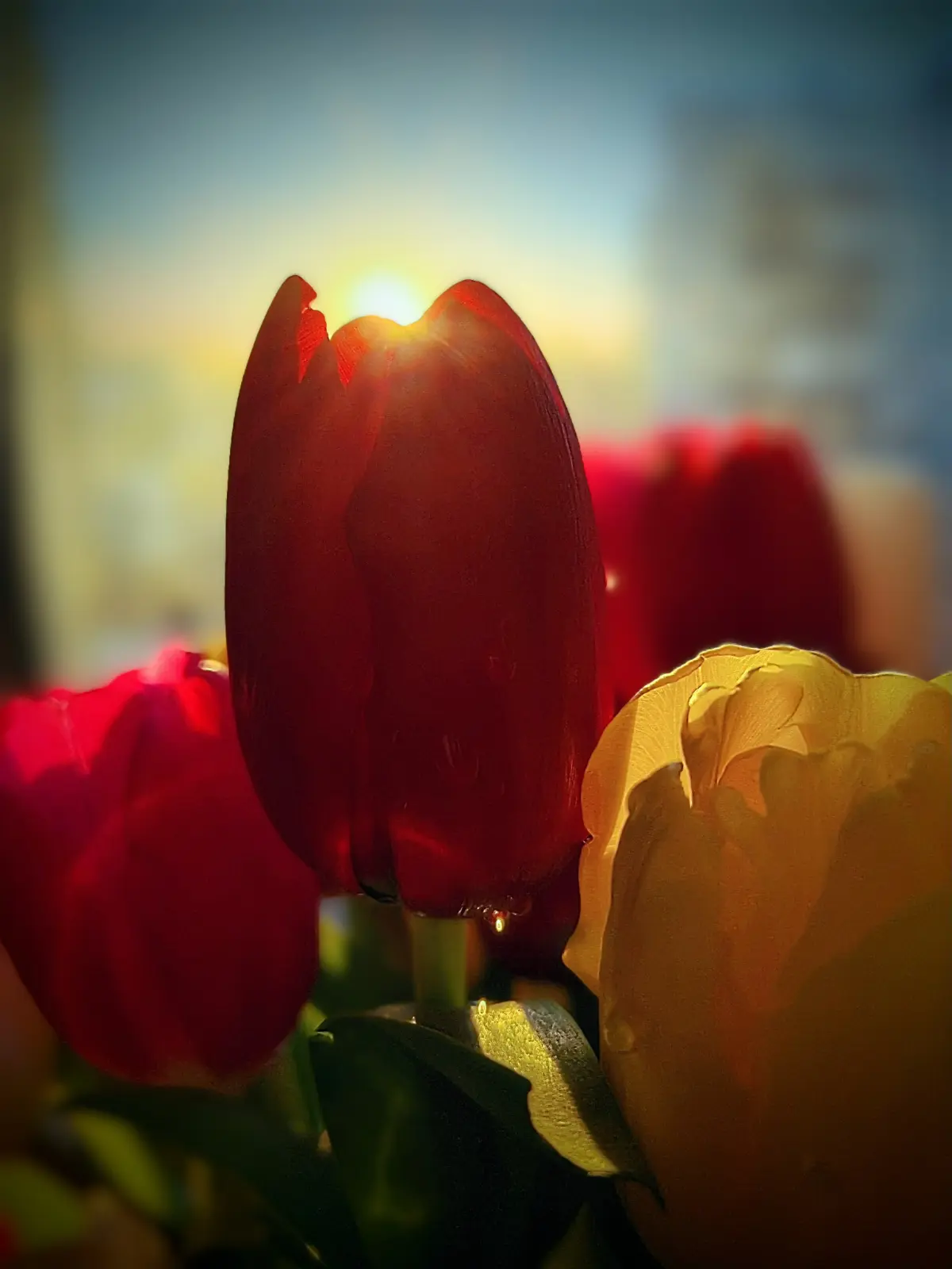 Весна приходит...☀💐 | Сетка — социальная сеть от hh.ru