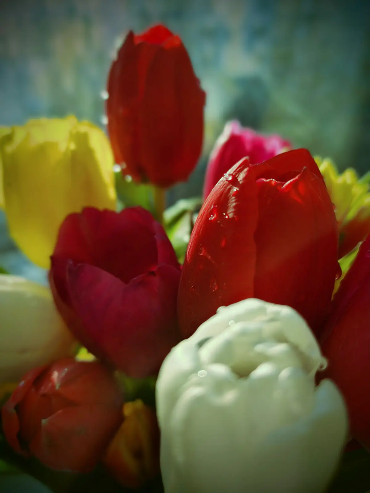 Весна приходит...☀💐 | Сетка — социальная сеть от hh.ru