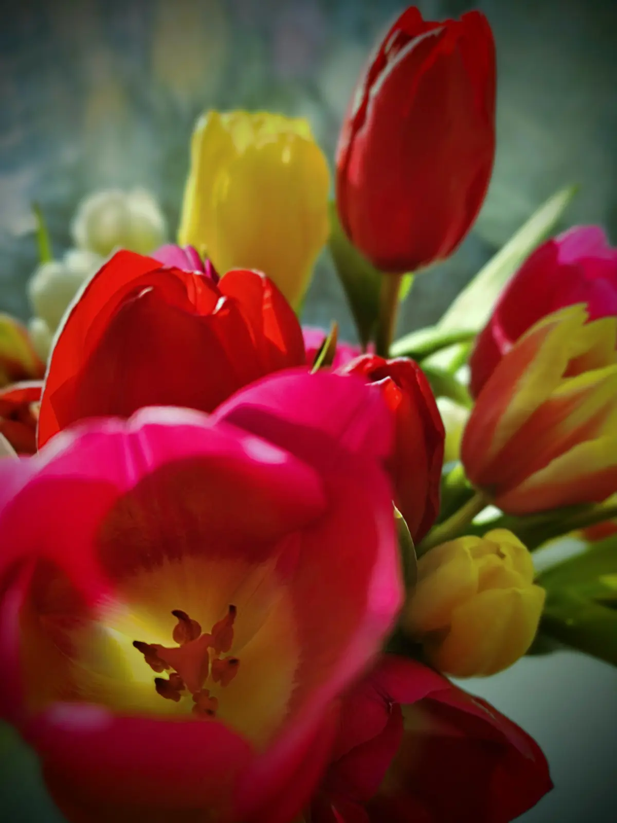 Весна приходит...☀💐 | Сетка — социальная сеть от hh.ru