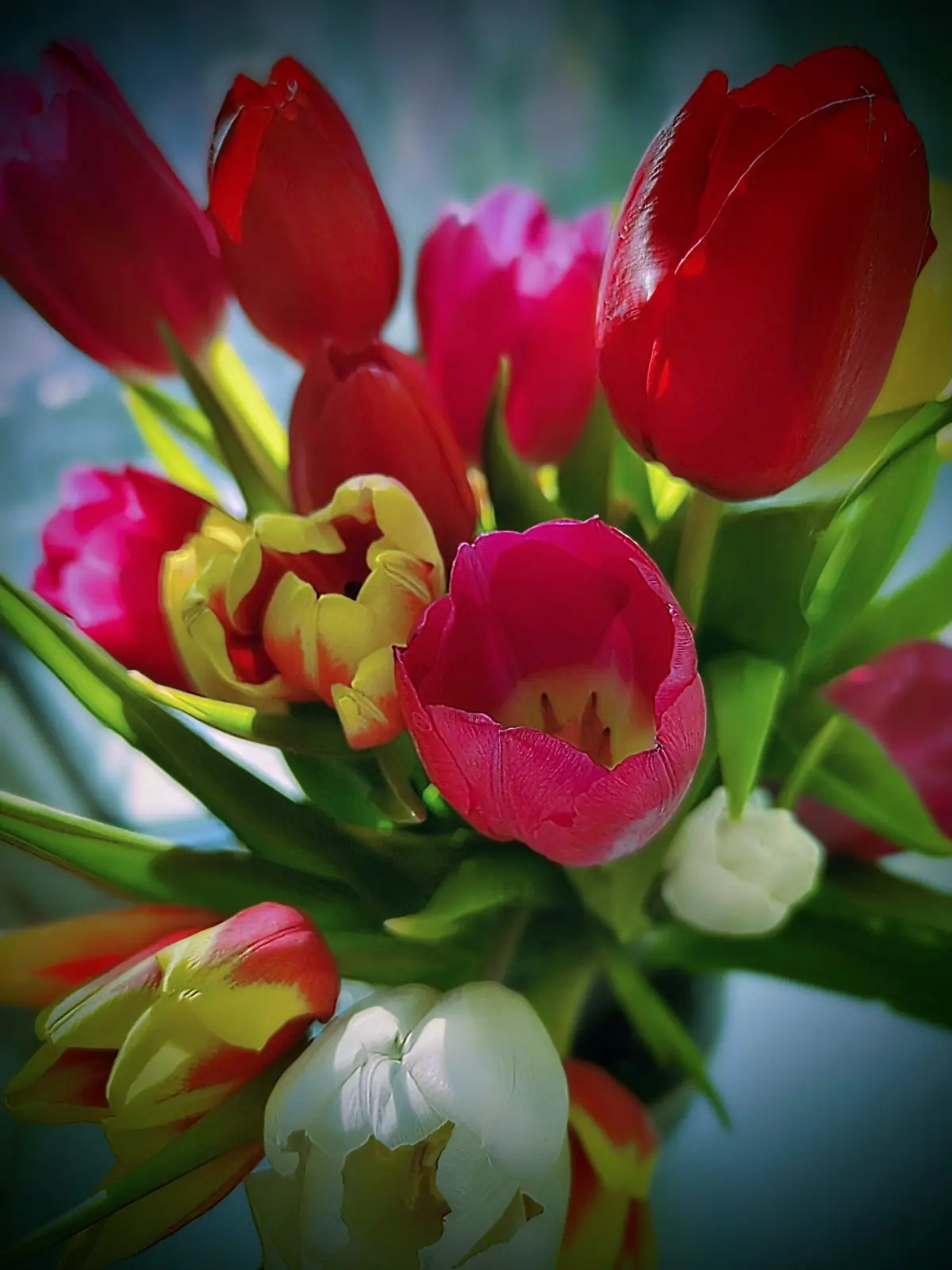 Весна приходит...☀💐 | Сетка — социальная сеть от hh.ru