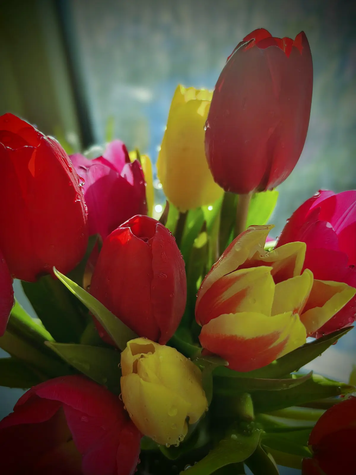 Весна приходит...☀💐 | Сетка — социальная сеть от hh.ru