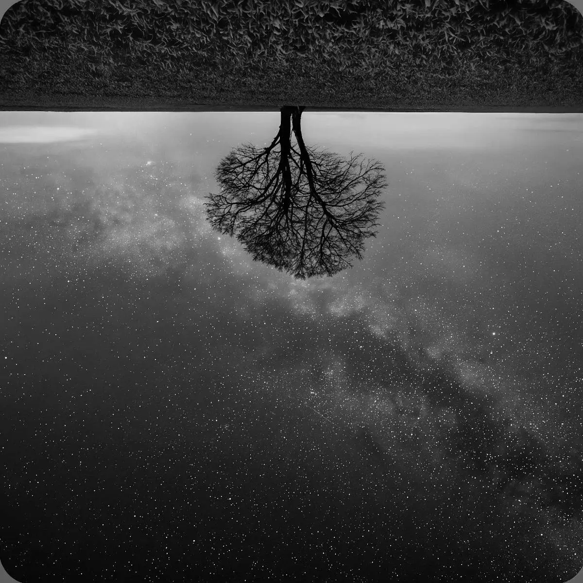 Виктория Dzen | Сетка — социальная сеть от hh.ru