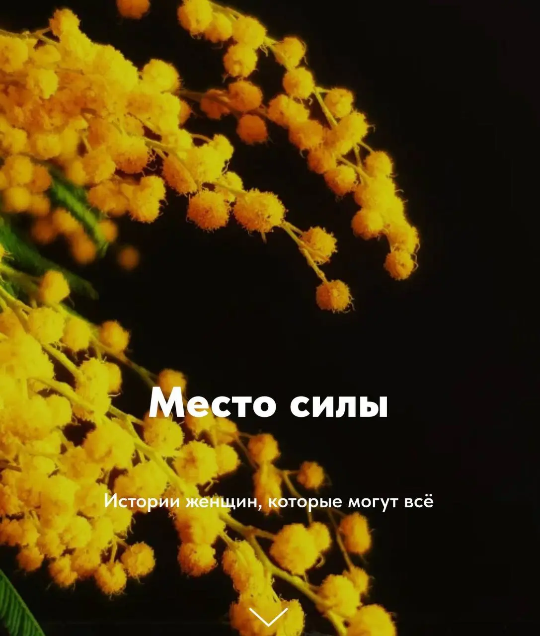 Девочки, с праздником нас!
Желаю нам с вами любви, тепла, заботы и признания каждый день в году, а не только в один специально выделенный🌷🌷🌷!
И смотрите - мы с коллегами сделали целый проект с нашими ... | Сетка — социальная сеть от hh.ru
