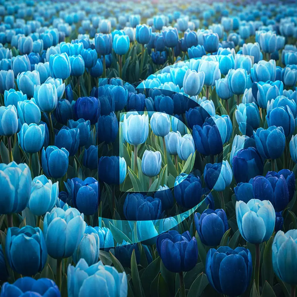 Дорогие девушки! 🌷
Сегодня особенный день — день, когда весна ощущается не только за окном, но и в настроении | Сетка — социальная сеть от hh.ru