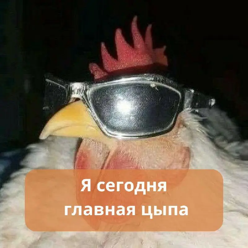 Девушки, спешим с подарками 🌸
8 марта — ещё один повод сказать, какие вы сильные, талантливые и невероятные | Сетка — социальная сеть от hh.ru