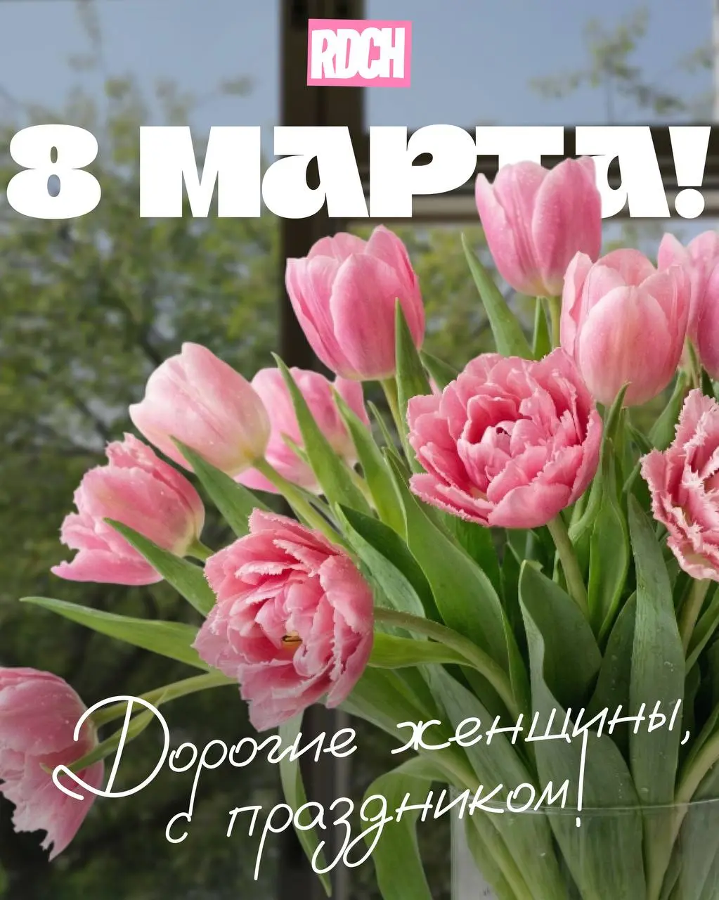 🩷🩷
Дорогие девушки! Поздравляем вас с 8 марта!🌺
Хотим пожелать вам этой весной побольше пауз на кофе в тишине, цветов без повода и того самого состояния, когда внутри — полный штиль и гармония | Сетка — социальная сеть от hh.ru