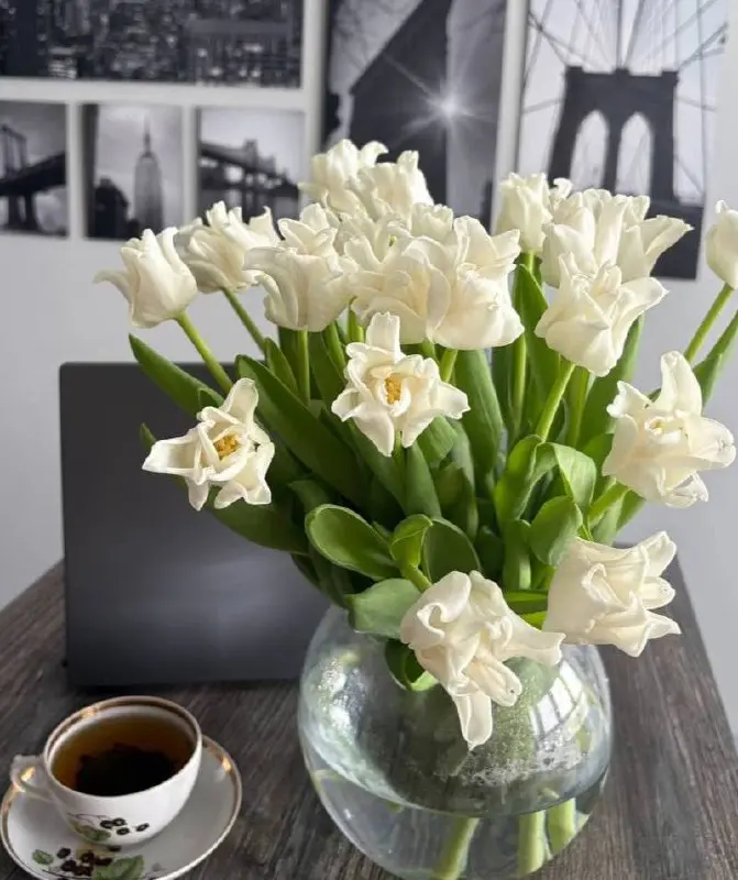 С международным женским днем 🌷
Коллеги, партнёры, единомышленницы!
8 Марта — это не про цветы (хотя и про них тоже 😉).
Это про силу, которая не шумит, а решает | Сетка — социальная сеть от hh.ru
