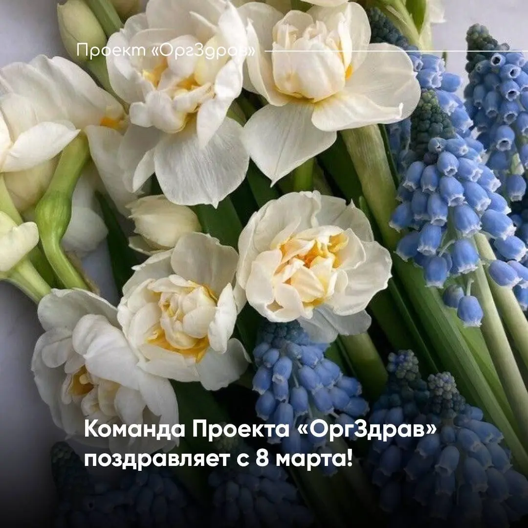 С Международным женским днём! 🌸
В этот яркий и теплый весенний день команда Проекта «ОргЗдрав» спешит поздравить прекрасную половину человечества с Днём 8 марта!
Мы знаем, как порой непросто навести п... | Сетка — социальная сеть от hh.ru