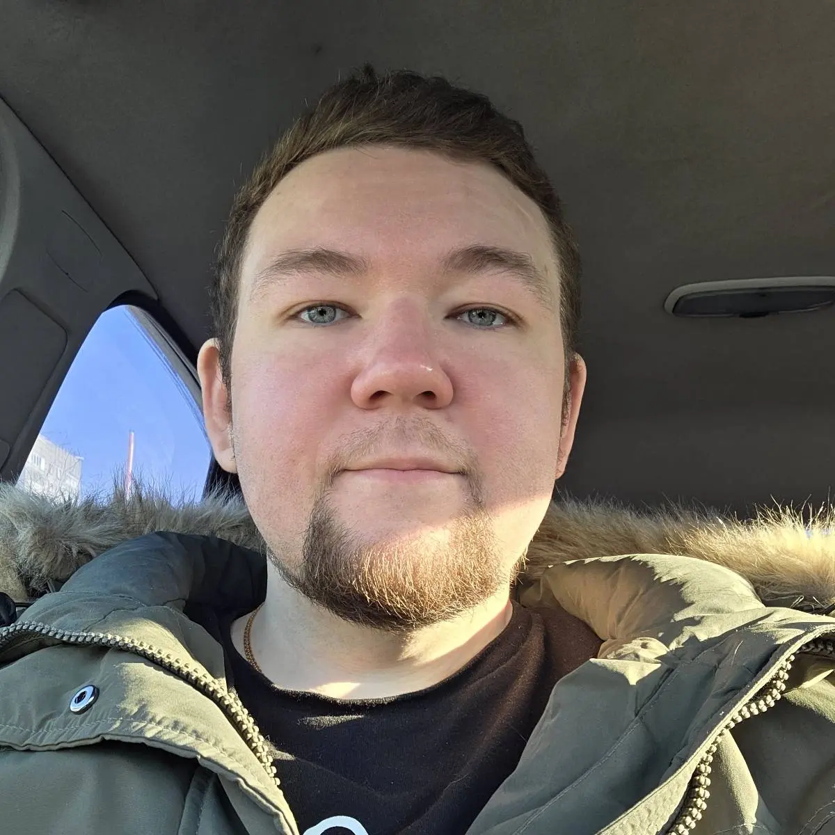 Владислав Гордин