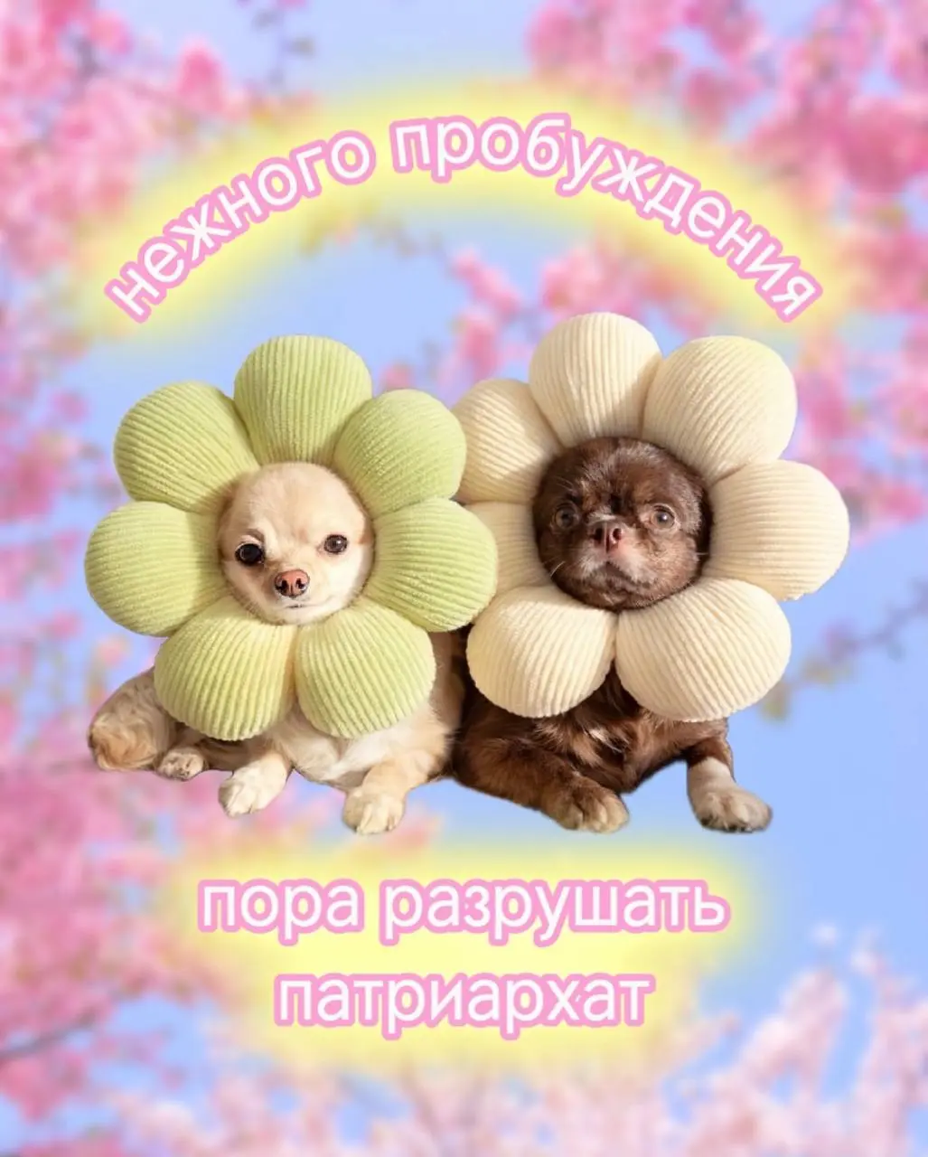 Девоньки, с нашим днем! Помните, что вы богини 💁‍♀️😘 | Сетка — социальная сеть от hh.ru