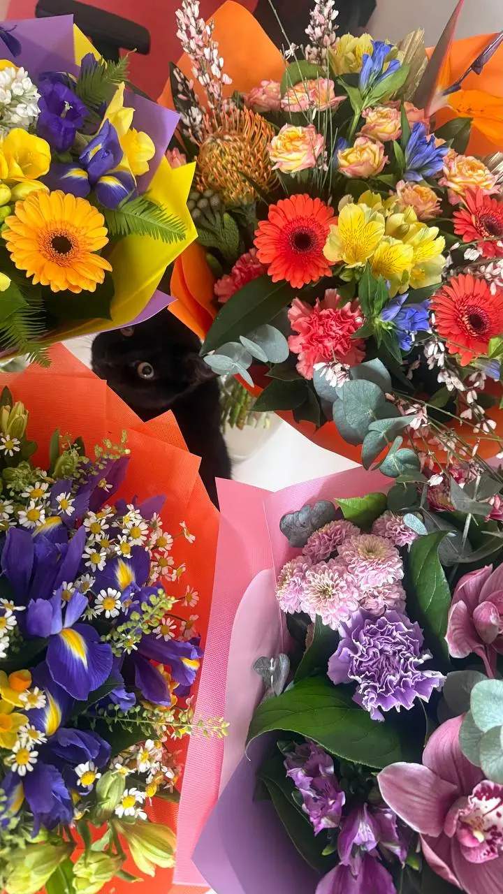 🌷Дорогие девушки и женщины!
Пожелать я вам хочу, чтобы другие дни почаще были похожи на 8 марта, когда много внимания, теплых слов, комплиментов, заботы и цветов 🌷
А главное, чтобы вы сами любили себя... | Сетка — социальная сеть от hh.ru