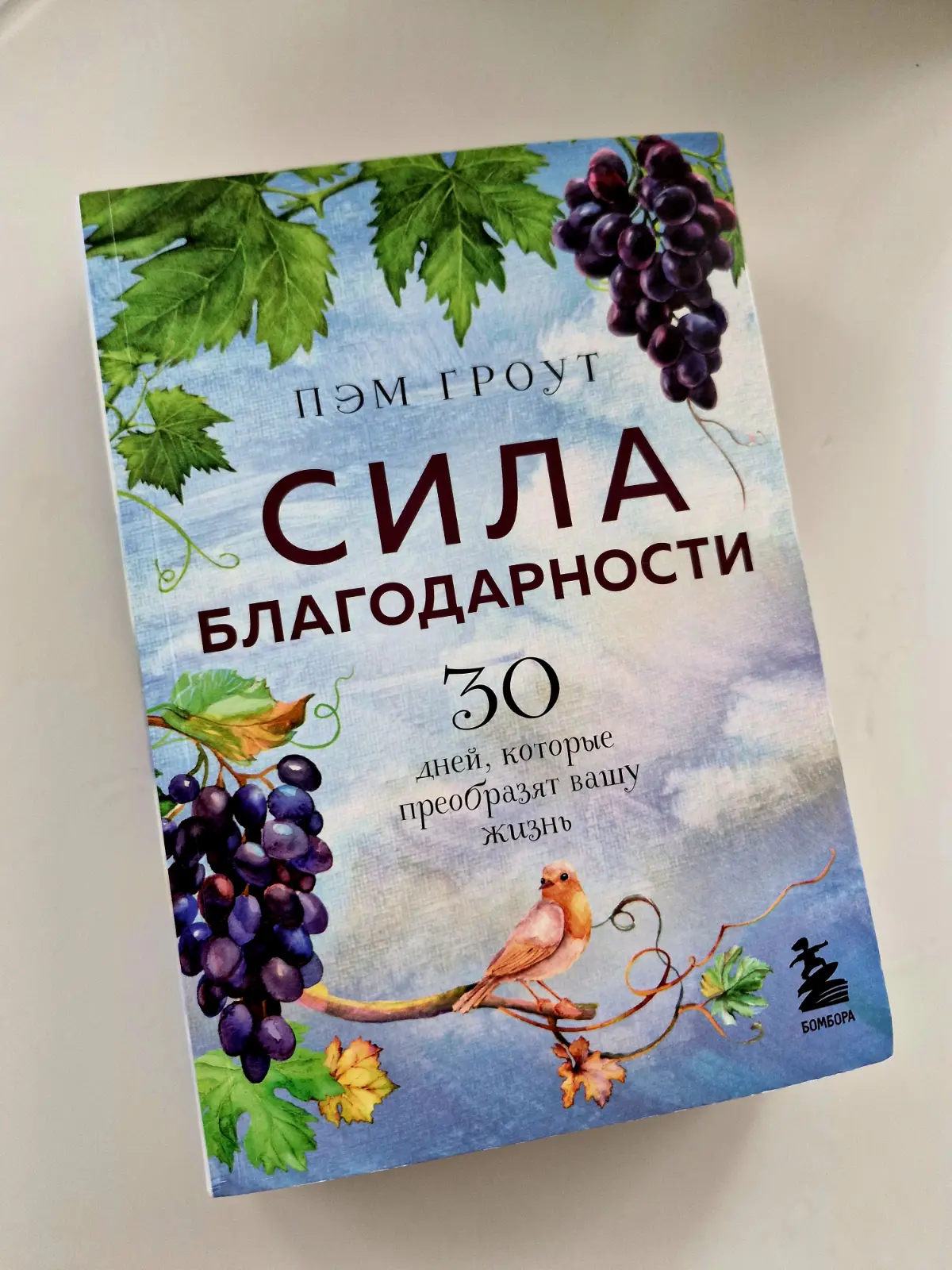 КНИЖНАЯ ПОЛКА 📚
На первый взгляд простенькая книжка. Читается легко, можно осилить за один вечер. Потому что написана в американской манере, где одну мысль принято растягивать на десятки страниц | Сетка — социальная сеть от hh.ru