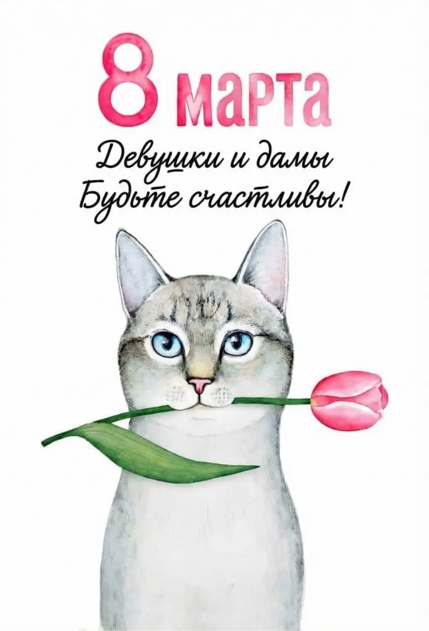 🧑‍🎤🧑‍🎤🧑‍🎤
🌷🌷
🌷🌷
*Красавицы, вы украшаете мир!
В вас доброе сердце и мягкая сила | Сетка — социальная сеть от hh.ru