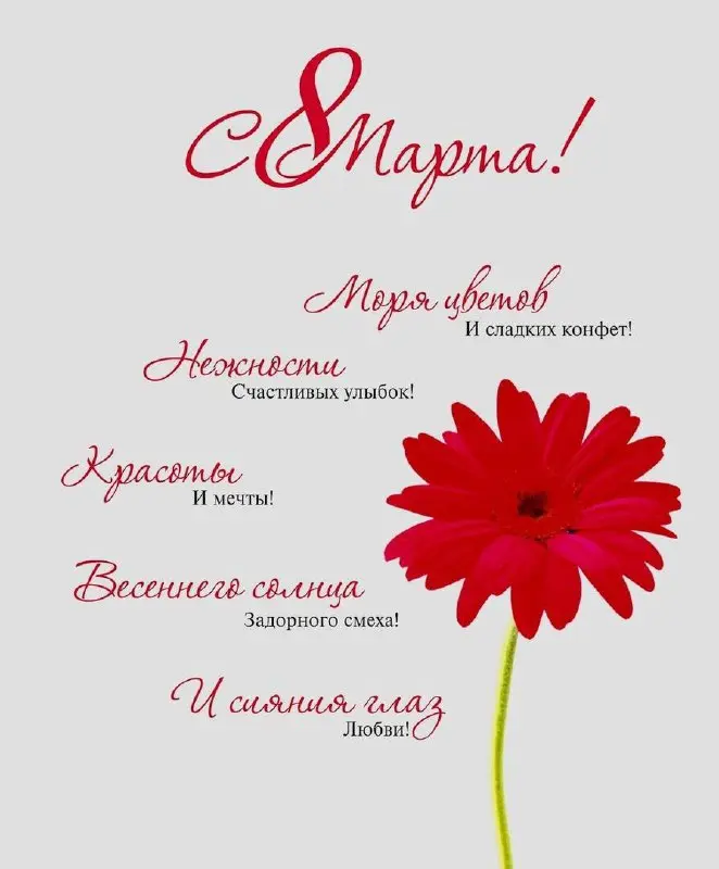 С праздником , дорогие женщины!
Сегодня день, когда хочется сказать самое важное.
Женщина -это не только красота и нежность | Сетка — социальная сеть от hh.ru