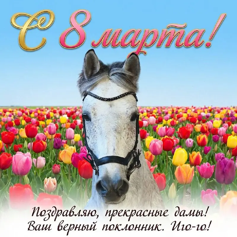 Поздравления с 8 марта от Дарчика 💐 | Сетка — социальная сеть от hh.ru