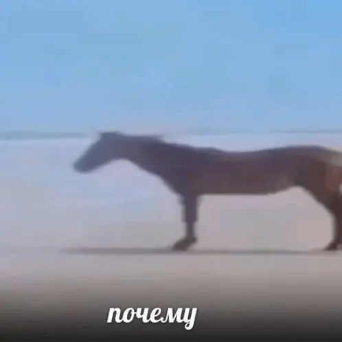 Некоммерческий опыт - зачем это? | Сетка — социальная сеть от hh.ru