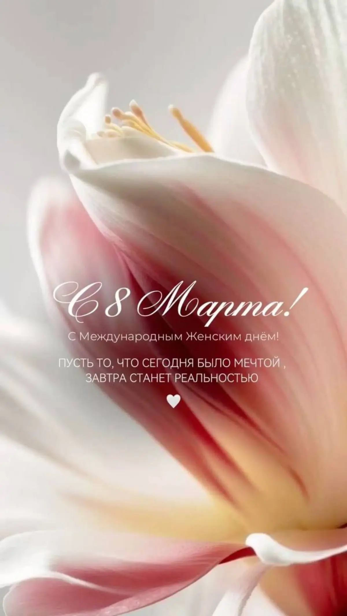 С 8 марта! | Сетка — социальная сеть от hh.ru