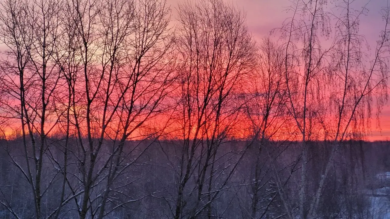 Когда меняются сезоны, меняется и наш взгляд на вещи | Сетка — социальная сеть от hh.ru