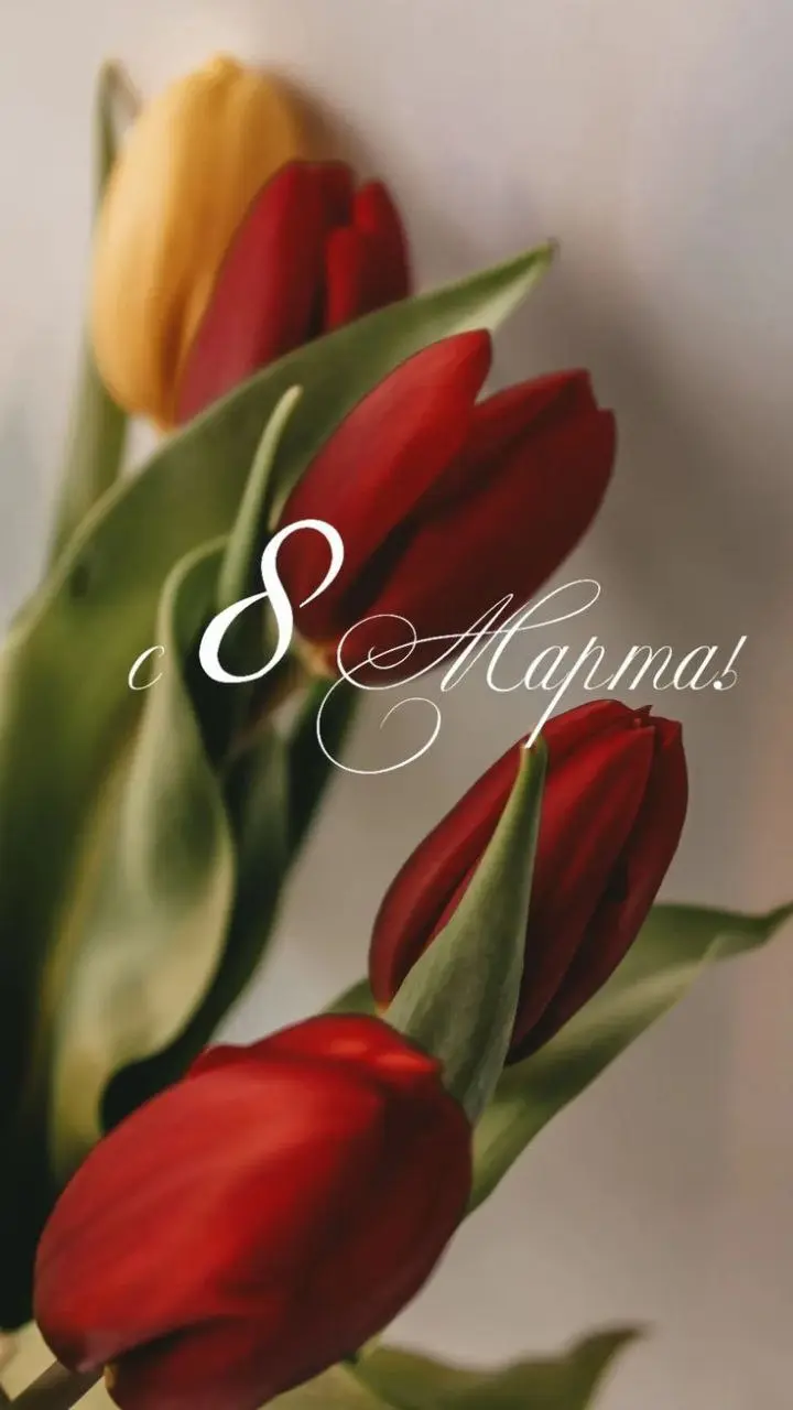 Сегодня хочется поздравить всех женщин не только с праздником 🌿🤩
но и с тем, что мы умеем гораздо больше, чем сами иногда думаем.
Мы умеем держать миры — свои, семейные, рабочие | Сетка — социальная сеть от hh.ru