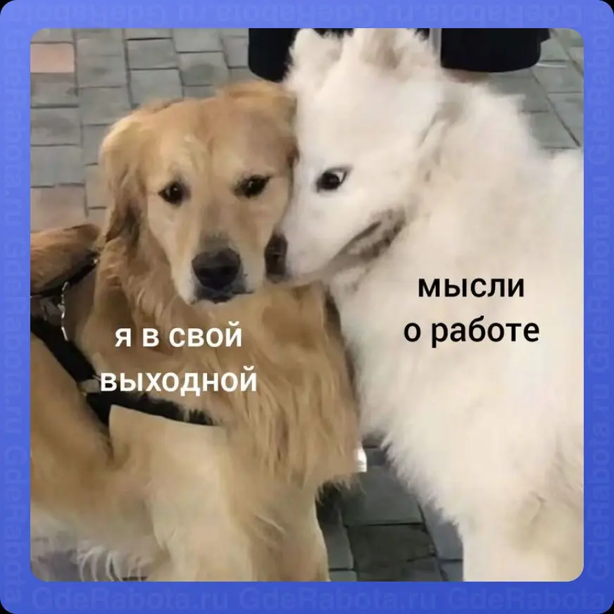 Вроде понедельник, а на работу не надо, впереди четырёхдневка 🤌🏻
#работа #GdeRabota #hr #вакансии | Сетка — социальная сеть от hh.ru