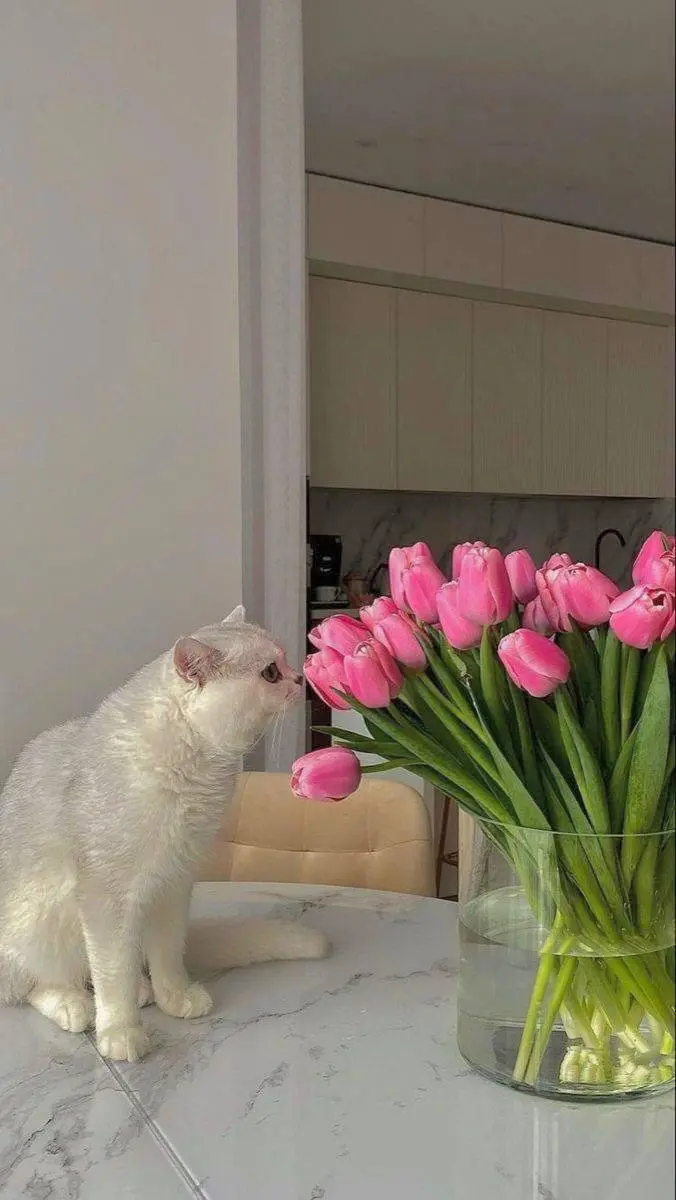 Доброе утро! ❤️
Весна приходит не сразу, сначала капель, потом трава и цветы. Так и в поиске, каждый отклик приближает вас к нужному результату. Не сдавайтесь! | Сетка — социальная сеть от hh.ru