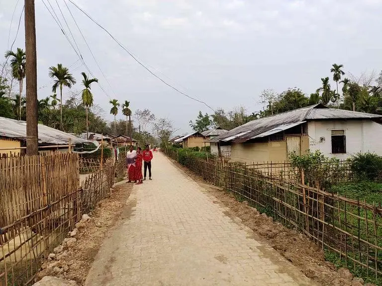 Китайские специалисты разработали и описали очередную систему распознавания подходящих для сбора верхушек побегов чая.. | Сетка — социальная сеть от hh.ru