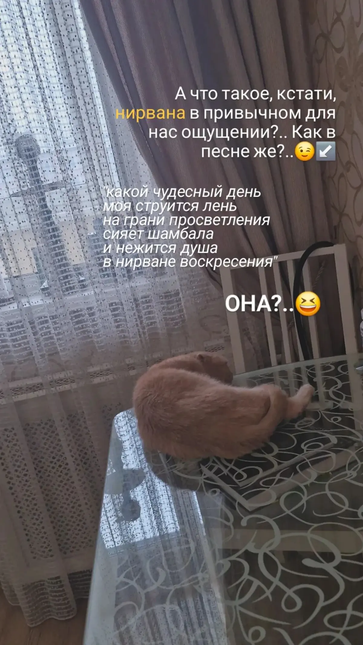 Сегодня💛 | Сетка — социальная сеть от hh.ru