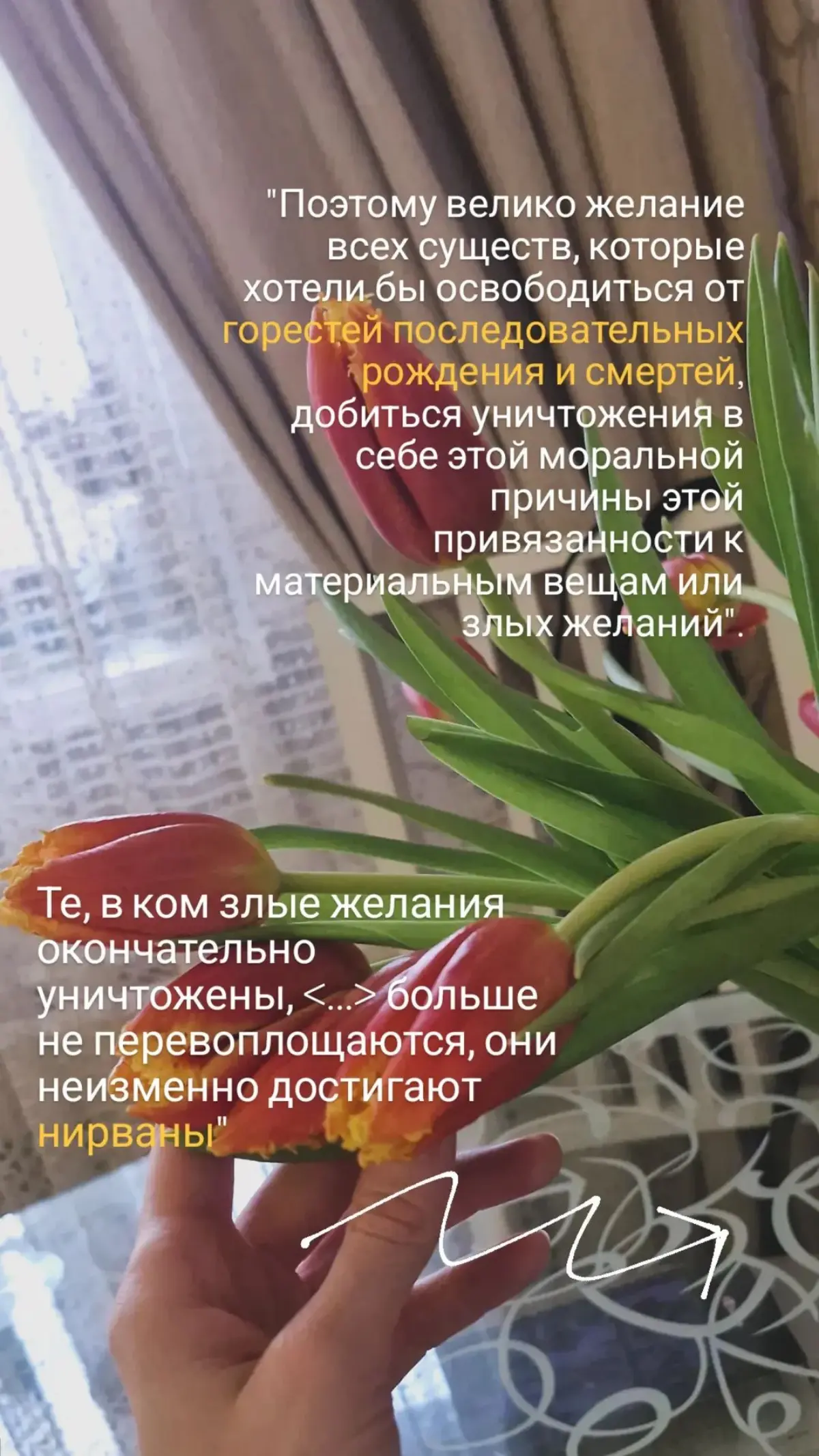Сегодня💛 | Сетка — социальная сеть от hh.ru