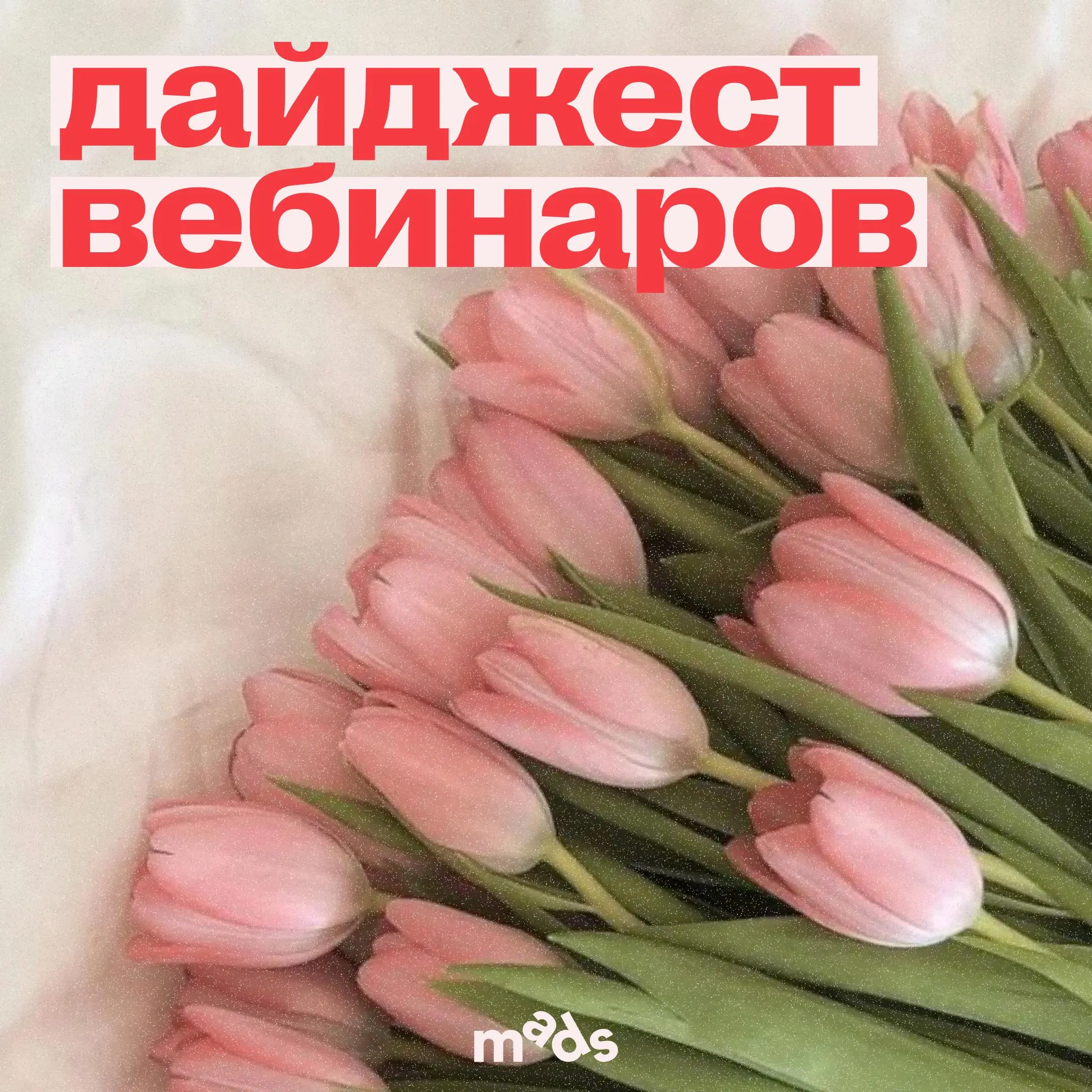 Возьми телефон, детка, я знаю, что ты хочешь позвонить мне прийти на открытый вебинар 📞
Ждем тебя на трех бесплатных вебинарах и рекомендуем присмотреться к спринту от ПИКЧИ 👇
10 марта, 18:00 мск, онл... | Сетка — социальная сеть от hh.ru