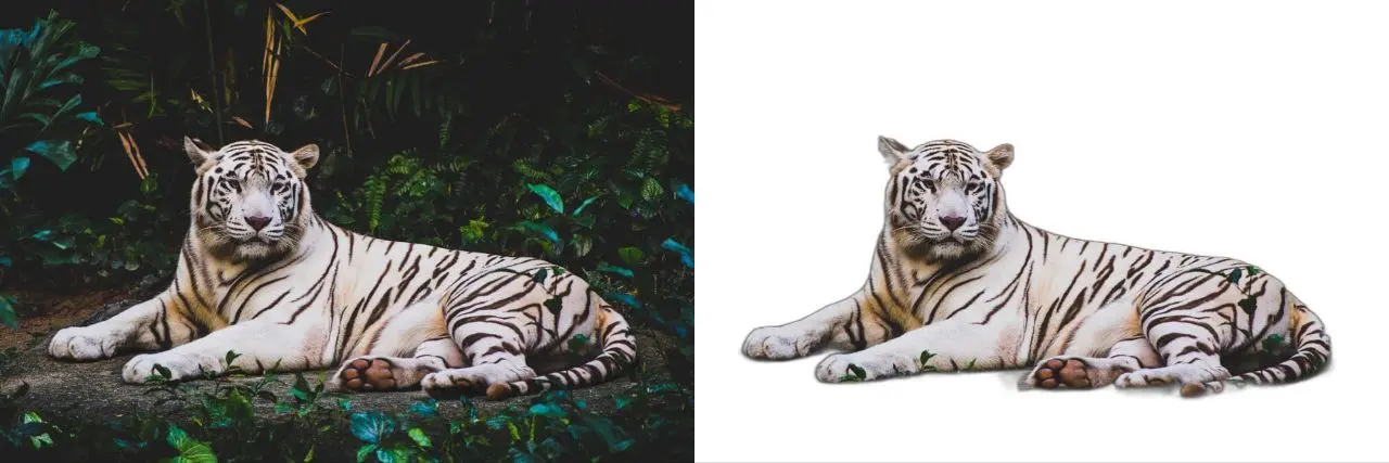 🖼УБЕРИТЕ ЭТОГО С РУЛЯ НА ФОТОШОПЕ
Нашли легковесный скрипт на Python RemBG, который вырезает фон с ЛЮБЫХ фото: пляж, книжный шкаф, советский ковер на стене — не важно, ИИ выделит главный объект и очис... | Сетка — социальная сеть от hh.ru