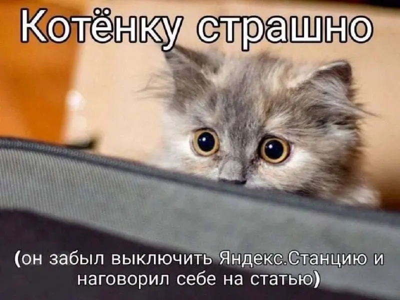 Подпишись, чтобы бюджет согласовали 🍺 | Сетка — социальная сеть от hh.ru