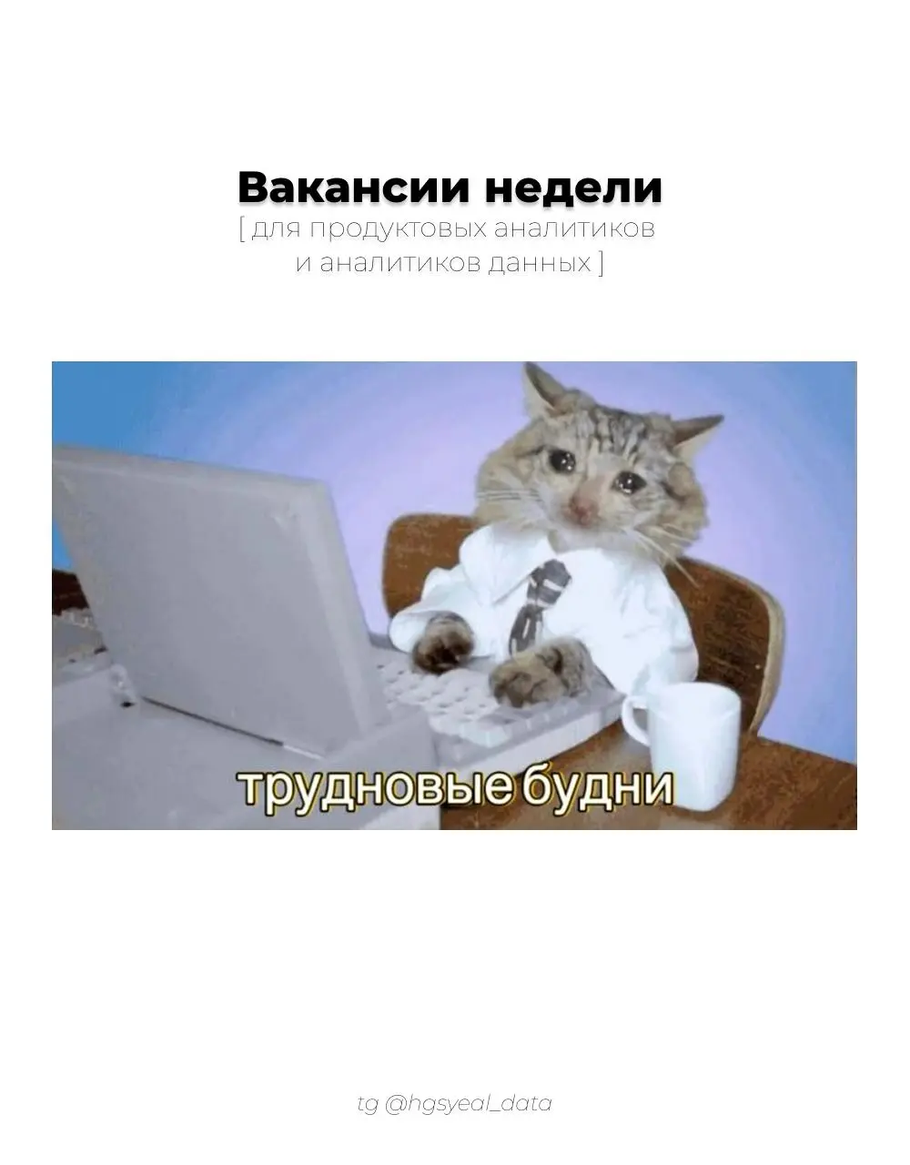 Подборка свежих вакансий для аналитиков данных и продуктовых аналитиков 🔗
😮‍💨 Старт карьеры / Junior
Аналитик данных (сегмент Молодежное предпринимательство и франшизы), Сбер
Продуктовый аналитик в Кр... | Сетка — социальная сеть от hh.ru