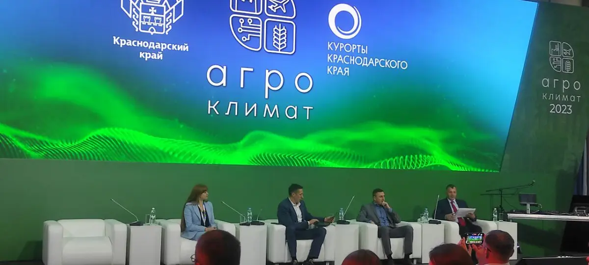 Прошлое | Сетка — социальная сеть от hh.ru