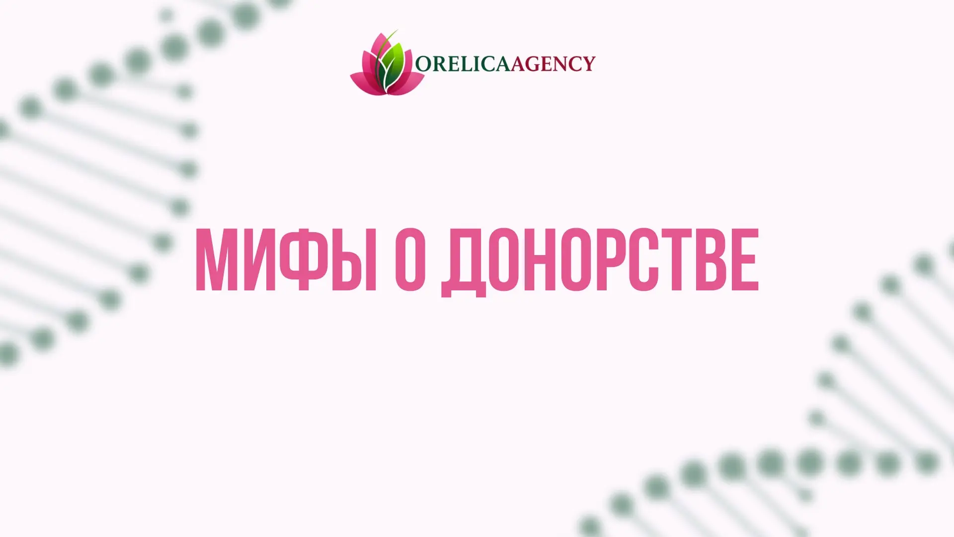 Мифы о донорстве яйцеклеток | Сетка — социальная сеть от hh.ru