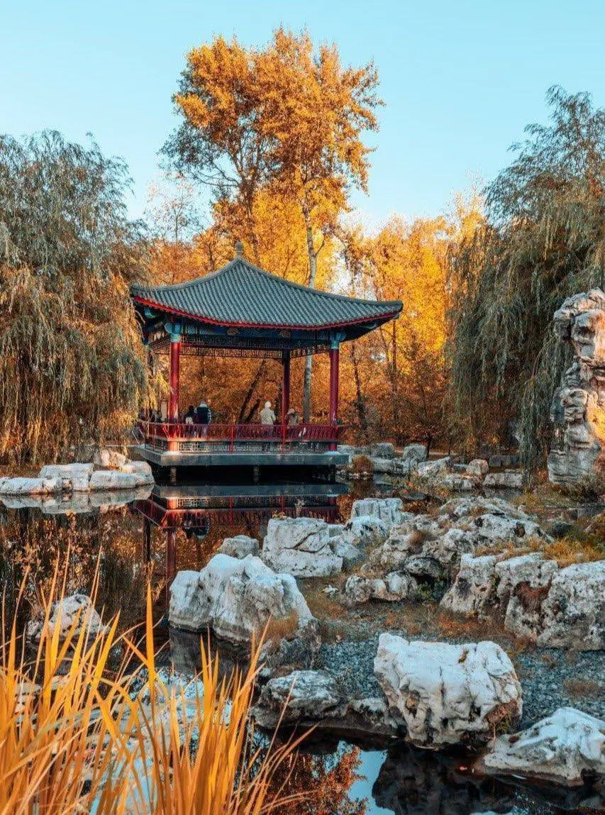 🏞️ Бесплатная экскурсия в китайский парк Хуамин
15, 21, 29 марта 12:30
Вы можете насладиться весенними видами парка, сделать классные фото, познакомиться с аутентичной китайской культурой и увидеть до... | Сетка — социальная сеть от hh.ru