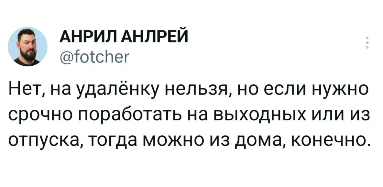 Залетай, мы уже начали деградировать 💸 | Сетка — социальная сеть от hh.ru