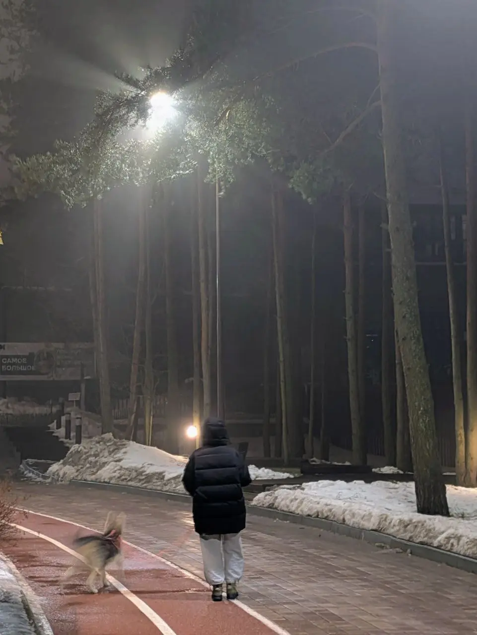 ✨ Финский залив + туман + освещение + сосна = таинственные лучи.
📍 ЖК Мир внутри, Санкт-Петербург
#освещение #санктпетербург | Сетка — социальная сеть от hh.ru