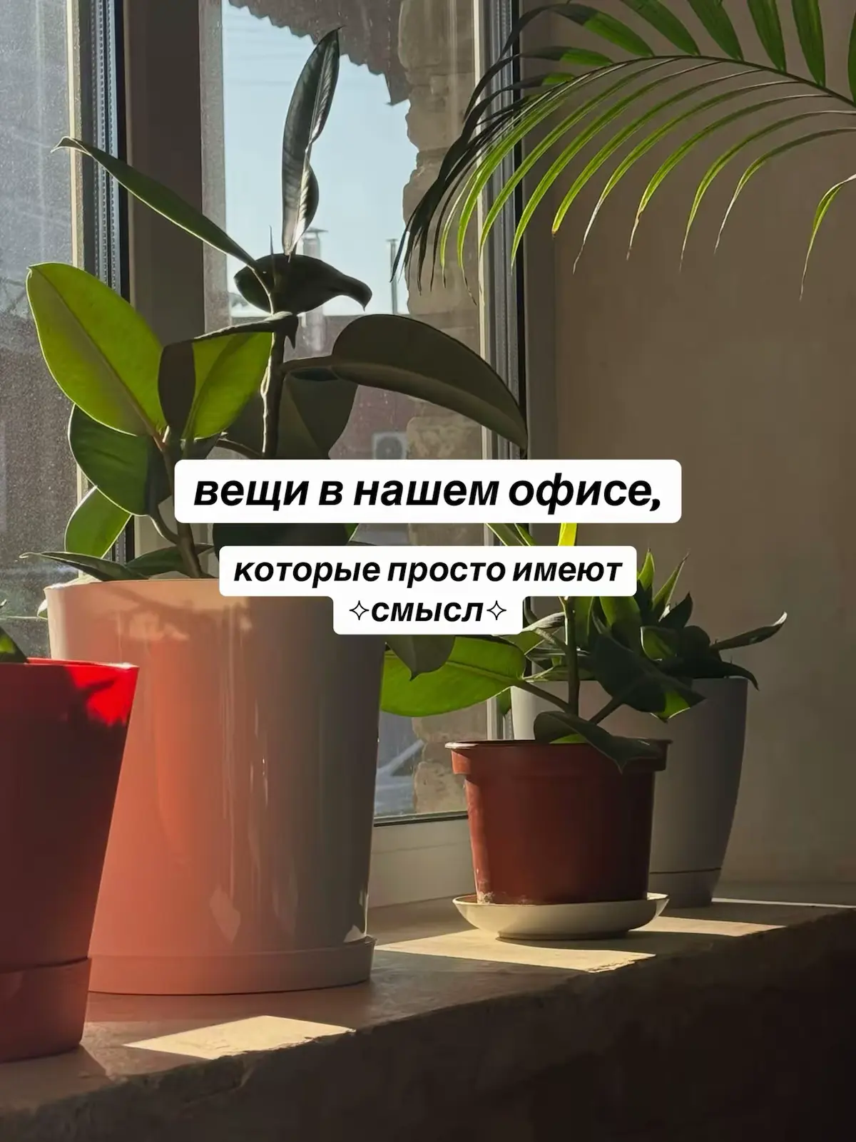 вещи в нашем офисе, которые просто имеют  ⟢ смысл ⟣ | Сетка — социальная сеть от hh.ru