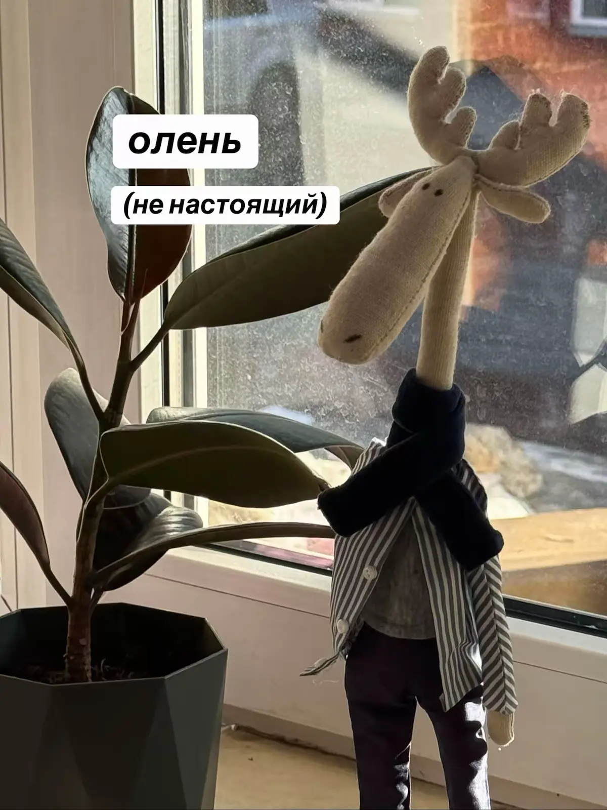 вещи в нашем офисе, которые просто имеют  ⟢ смысл ⟣ | Сетка — социальная сеть от hh.ru