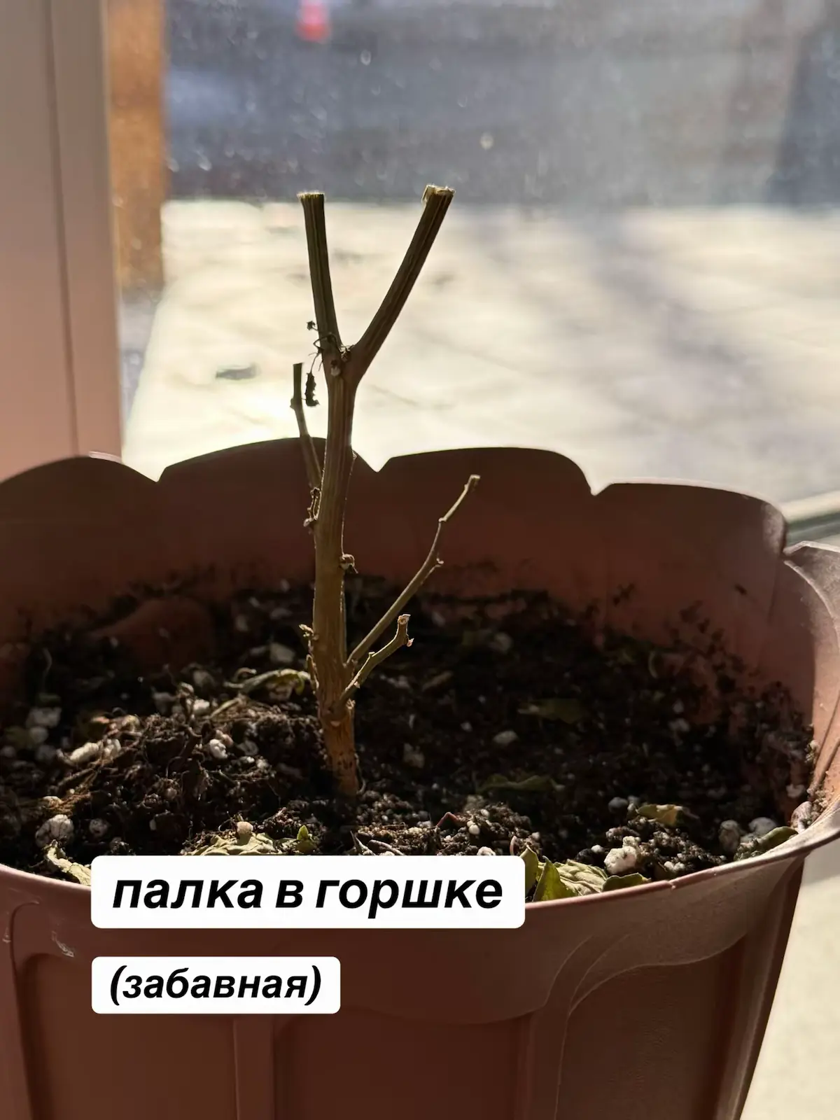 вещи в нашем офисе, которые просто имеют  ⟢ смысл ⟣ | Сетка — социальная сеть от hh.ru