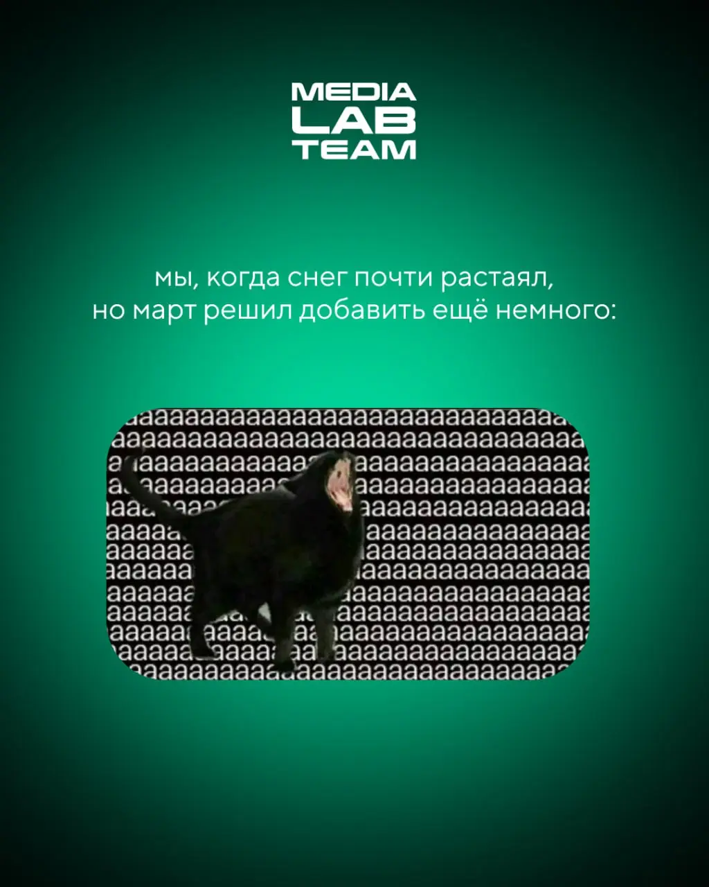 🙂 По календарю — весна, на улице — не совсем...
Но тепло уже скоро придет! А пока улыбаемся с милых котов и жизненных мемов | Сетка — социальная сеть от hh.ru