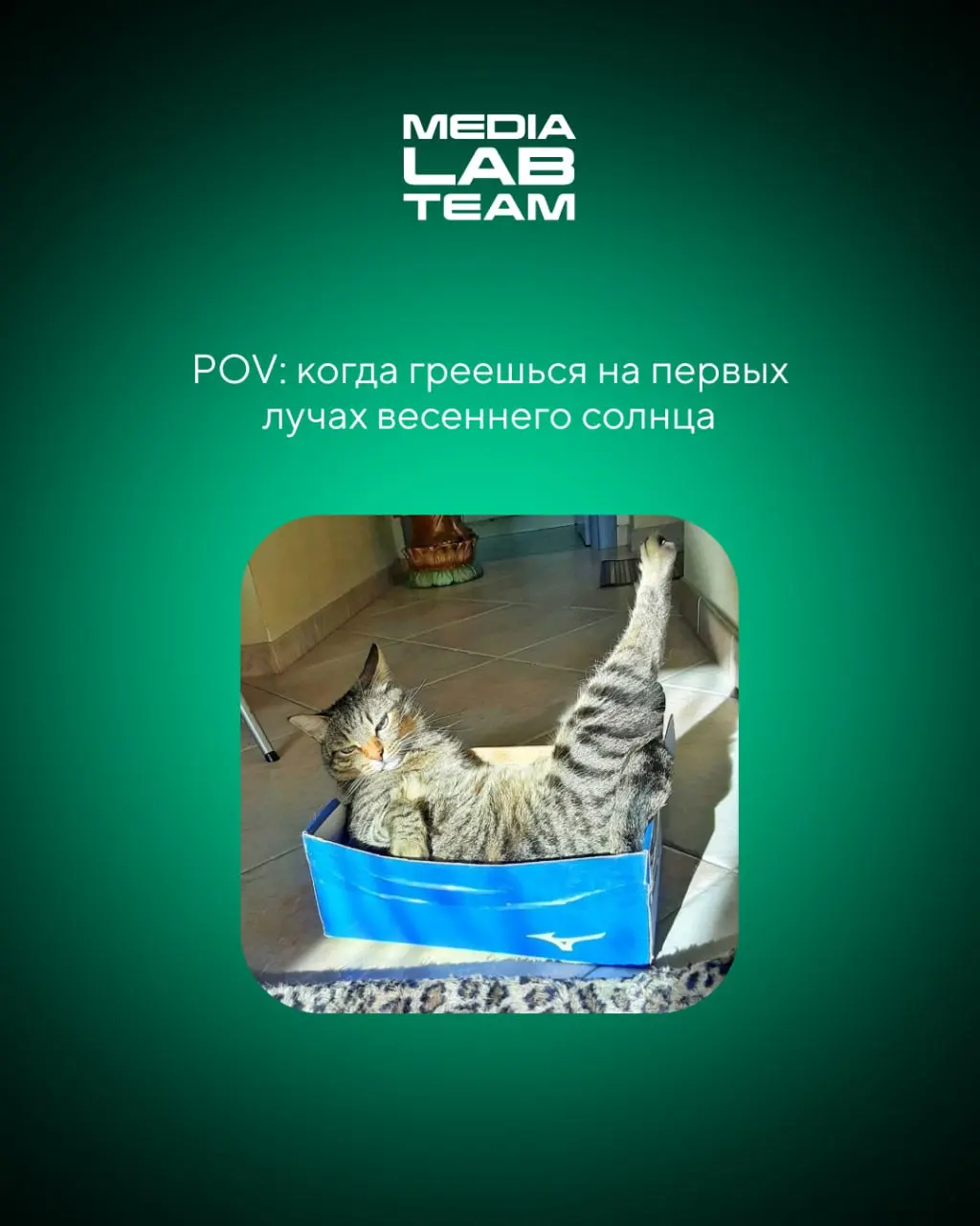 🙂 По календарю — весна, на улице — не совсем...
Но тепло уже скоро придет! А пока улыбаемся с милых котов и жизненных мемов | Сетка — социальная сеть от hh.ru