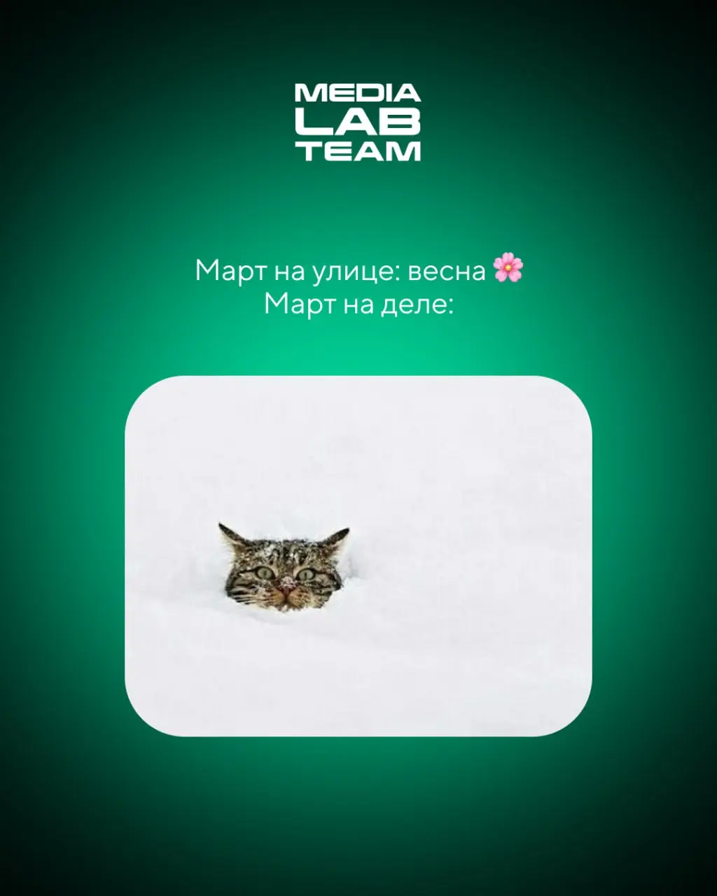 🙂 По календарю — весна, на улице — не совсем...
Но тепло уже скоро придет! А пока улыбаемся с милых котов и жизненных мемов | Сетка — социальная сеть от hh.ru