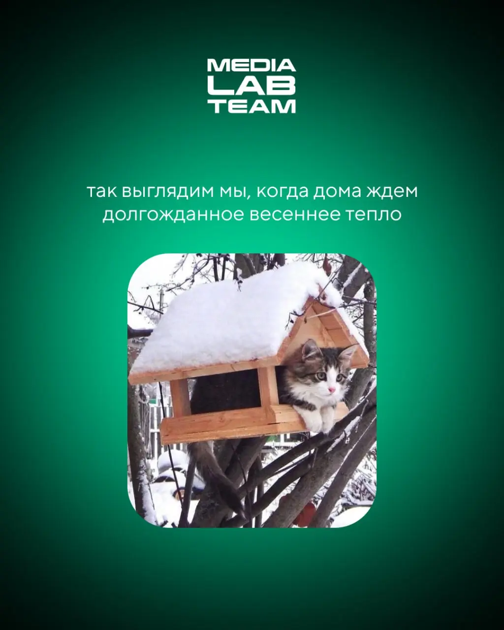 🙂 По календарю — весна, на улице — не совсем...
Но тепло уже скоро придет! А пока улыбаемся с милых котов и жизненных мемов | Сетка — социальная сеть от hh.ru