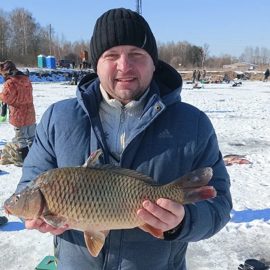 Евгений Бойцов | Сетка — социальная сеть от hh.ru