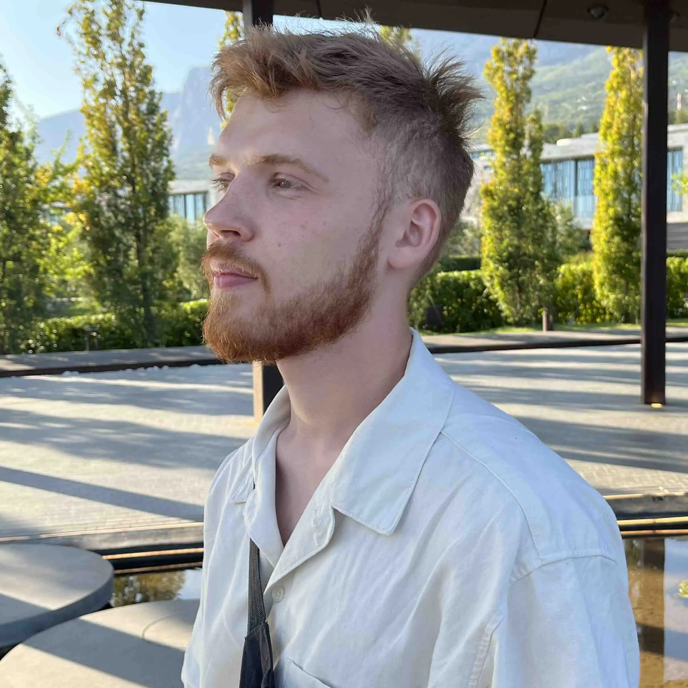 profile avatar