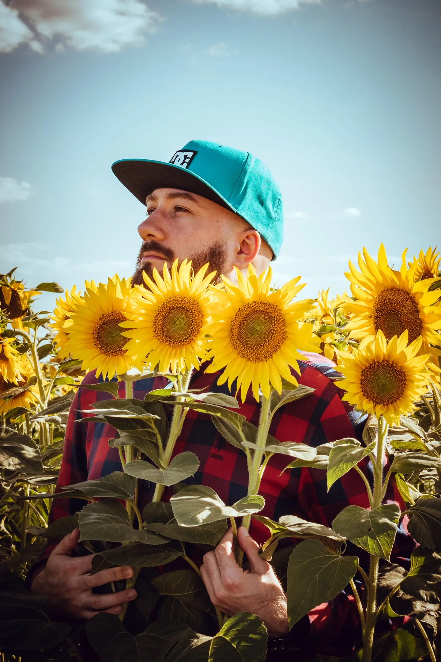 Александр Ломакин | Сетка — социальная сеть от hh.ru